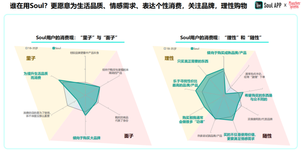 2024年中國青年營銷策略研究報告：品牌年輕化從社交開始(圖4)