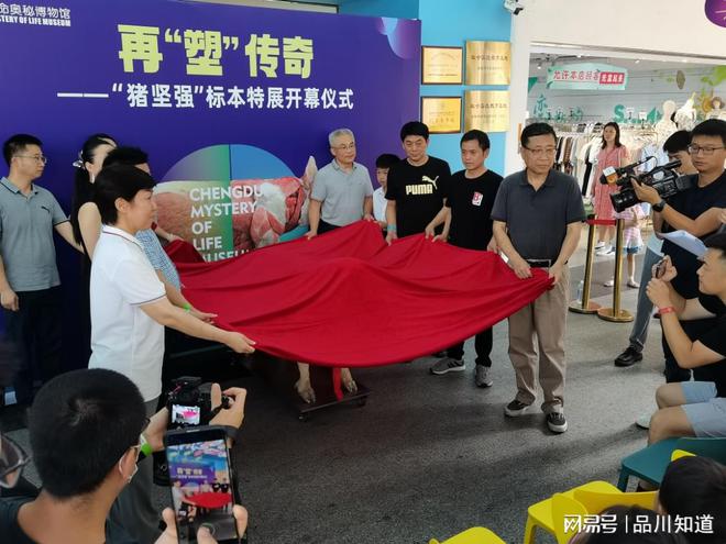 加強品牌宣傳力度2024媒體矩陣新啟航