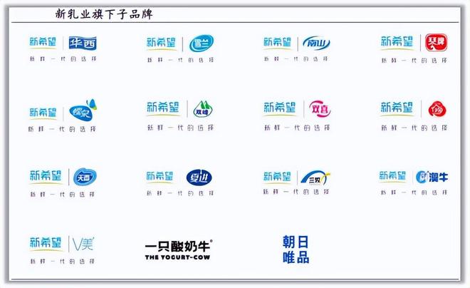 九游娛樂：半年狂攬53億永續(xù)成長(zhǎng)消費(fèi)龍頭未來十年無爭(zhēng)議！(圖4)