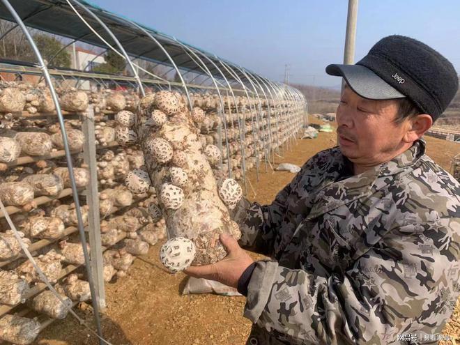 向往的漁村丨出發(fā)！去樂東當(dāng)一天海洋牧場主(圖7)