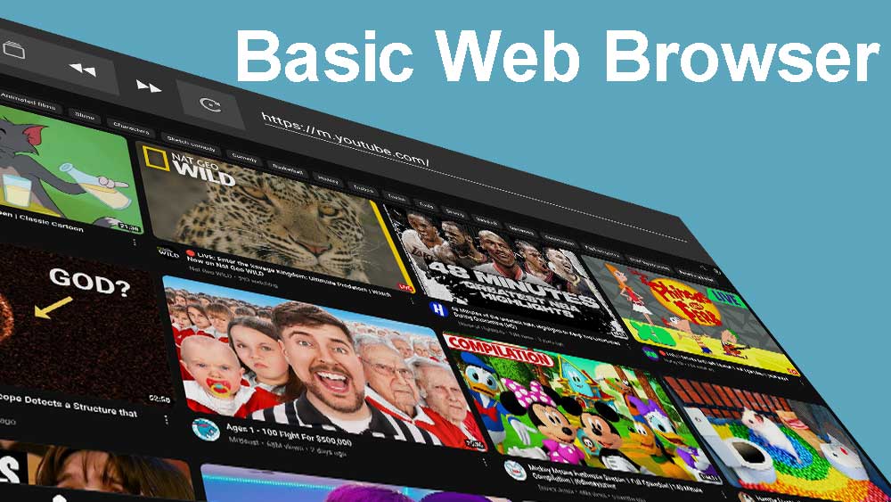 Basic Web Browser